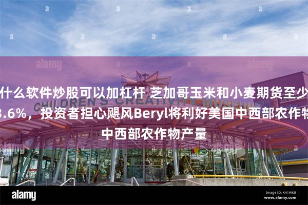 什么软件炒股可以加杠杆 芝加哥玉米和小麦期货至少跌超3.6%，投资者担心飓风Beryl将利好美国中西部农作物产量