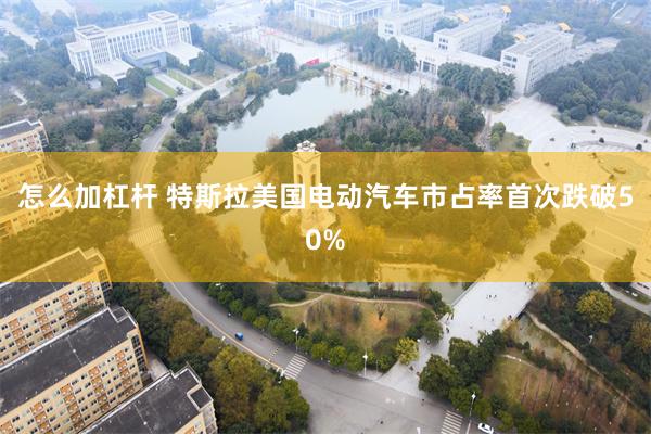 怎么加杠杆 特斯拉美国电动汽车市占率首次跌破50%