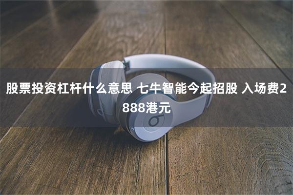 股票投资杠杆什么意思 七牛智能今起招股 入场费2888港元