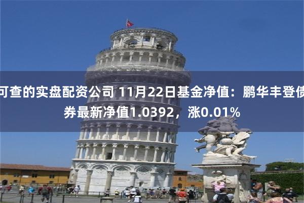 可查的实盘配资公司 11月22日基金净值：鹏华丰登债券最新净值1.0392，涨0.01%