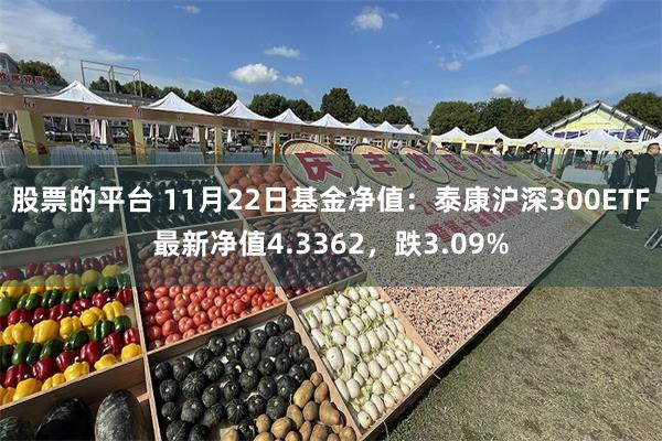 股票的平台 11月22日基金净值：泰康沪深300ETF最新净值4.3362，跌3.09%