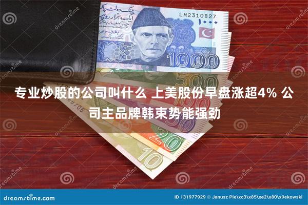 专业炒股的公司叫什么 上美股份早盘涨超4% 公司主品牌韩束势能强劲