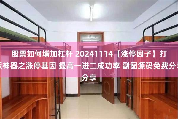 股票如何增加杠杆 20241114【涨停因子】打板神器之涨停基因 提高一进二成功率 副图源码免费分享