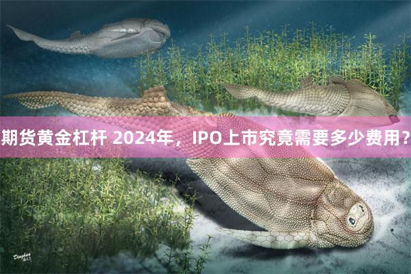 期货黄金杠杆 2024年，IPO上市究竟需要多少费用？