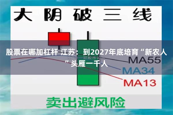 股票在哪加杠杆 江苏：到2027年底培育“新农人”头雁一千人