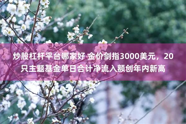 炒股杠杆平台哪家好 金价剑指3000美元，20只主题基金单日合计净流入额创年内新高