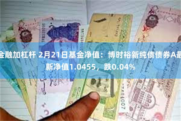 金融加杠杆 2月21日基金净值：博时裕新纯债债券A最新净值1.0455，跌0.04%