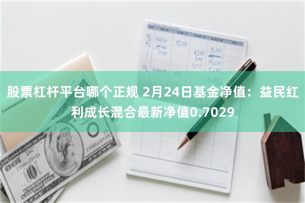 股票杠杆平台哪个正规 2月24日基金净值：益民红利成长混合最新净值0.7029